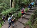 Climbers at 1000 Steps, Kokoda Track Memorial Walk, Dandenong Ranges National Park, Victoria