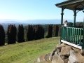 View over RJ Hamer Arboretum, Dandenong Ranges, Victoria, Australia