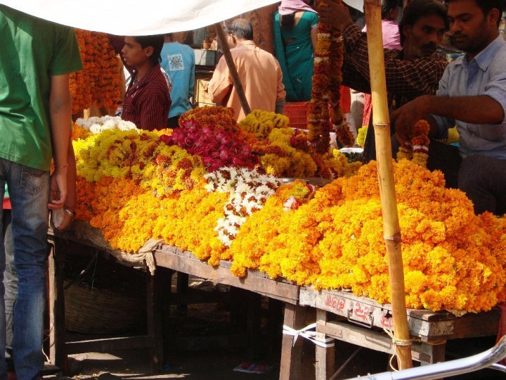 Flowers-being-sold-for-Diwali-puja-in-Jaipur