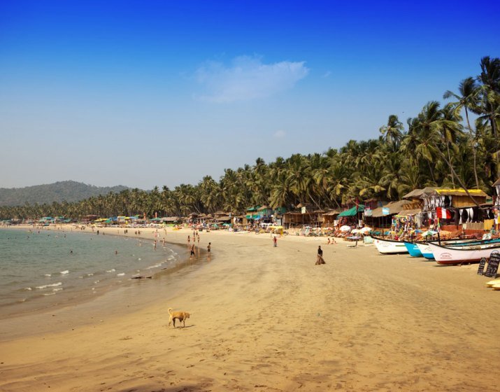 Relax on the White Sand of Tranquil Goa Beaches