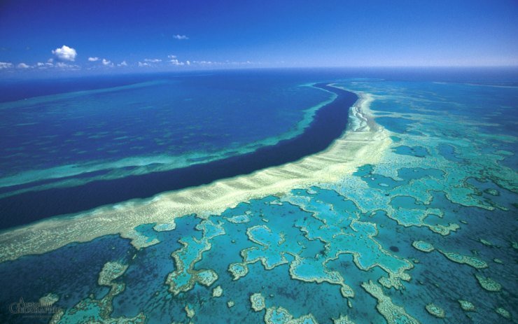 Great-Barrier-Reef-Australia-(Source-Australian-Geographic)