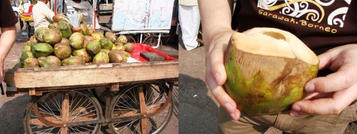 Coconut-water-being-sold-in-Old-City-Jaipur