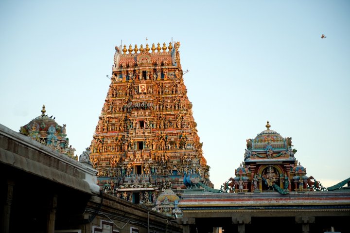 an intricate artwork at ancient hindu temple, Kapaleeshwarar Temple Chennai