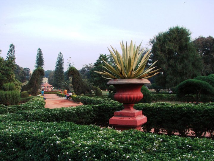Exquisite-plants-in-Lal-Bagh-Botanical-Garden
