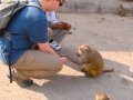 Graham-and-our-auto-rickshaw-driver-feeding-the-monkeys-at-Monkey-Temple-in-Jaipur
