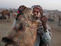 Pushkar-Camel-Fair---buyer-checks-camel-teeth-before-purchase