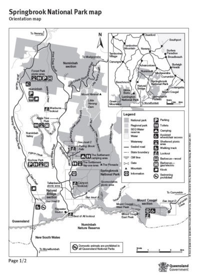 springbrook national park map Best Walking Tracks Of Springbrook National Park springbrook national park map