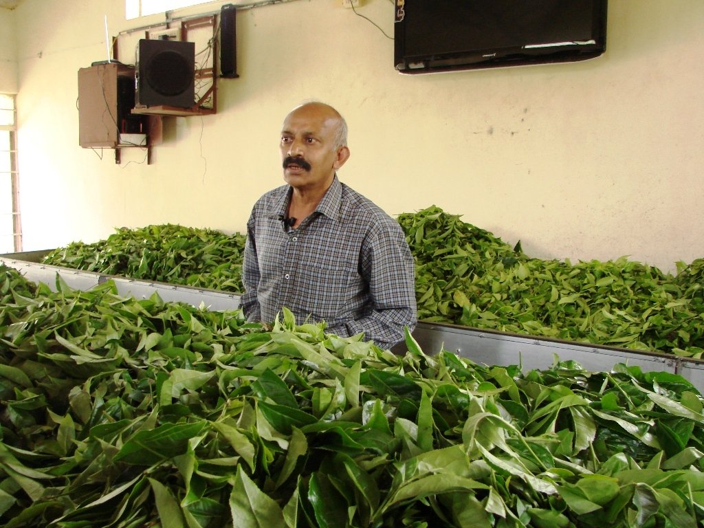 Watch The Tea Making Process At Tea Museum Munnar