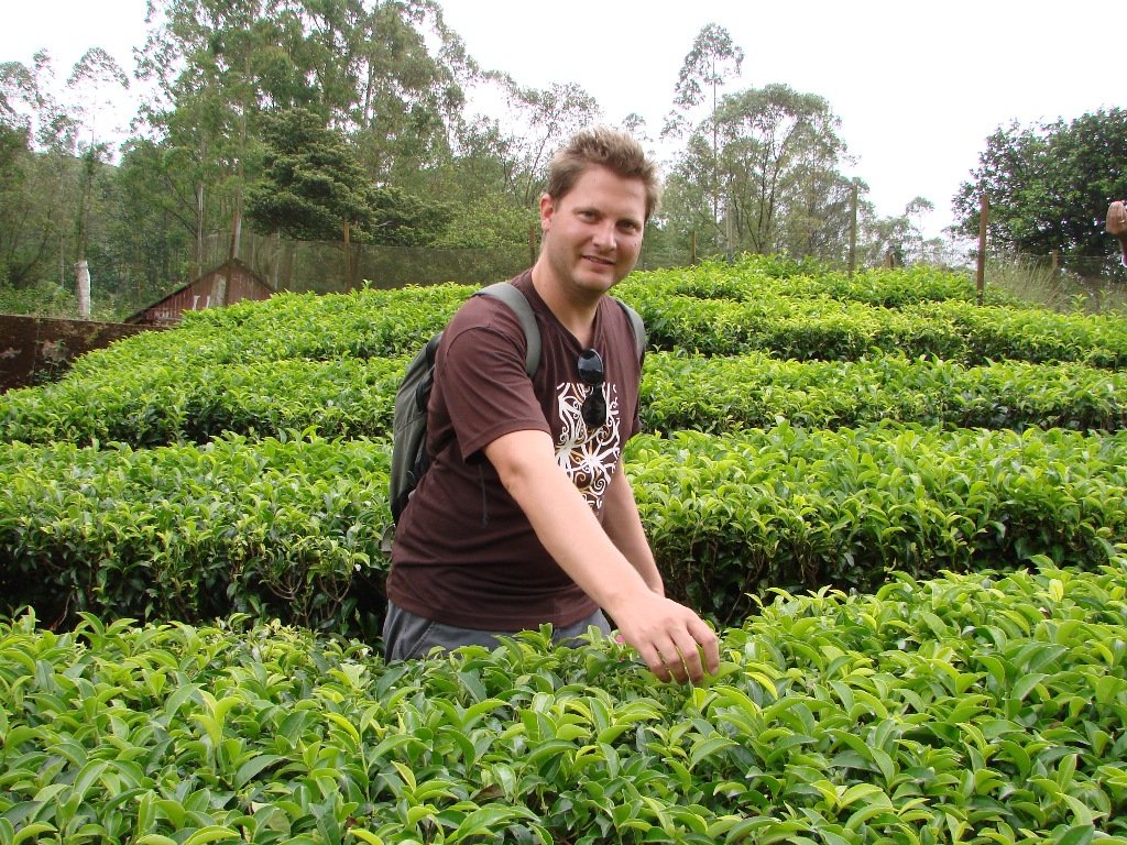 Watch The Tea Making Process At Tea Museum Munnar