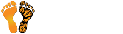 Remote Traveler Logo