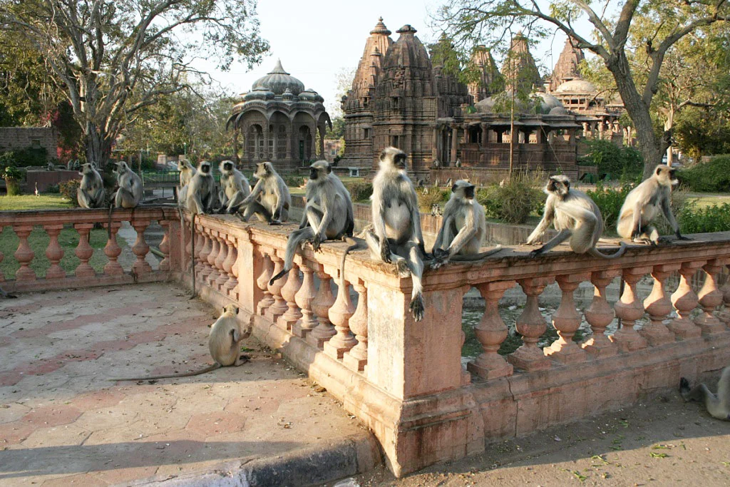 4 Reasons To Visit Mandore Garden Jodhpur