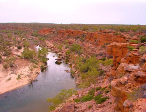 Kalbarri National Park: Loop Walk Trail