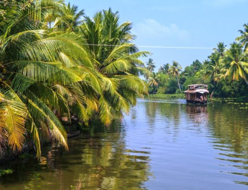 Alleppey (Alapphuza): Our Experience