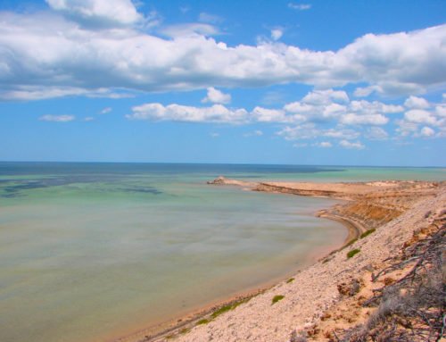 Shark Bay World Heritage Area