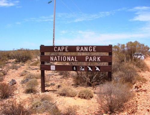 Cape Range National Park: Yardie Creek Walk Trail