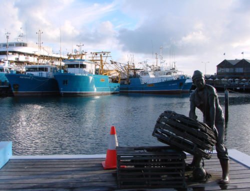 Fremantle Fishing Boat Harbour